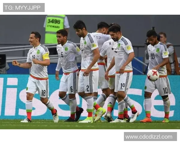 成都网球队在联合会杯中的团队协作表现分析与点评